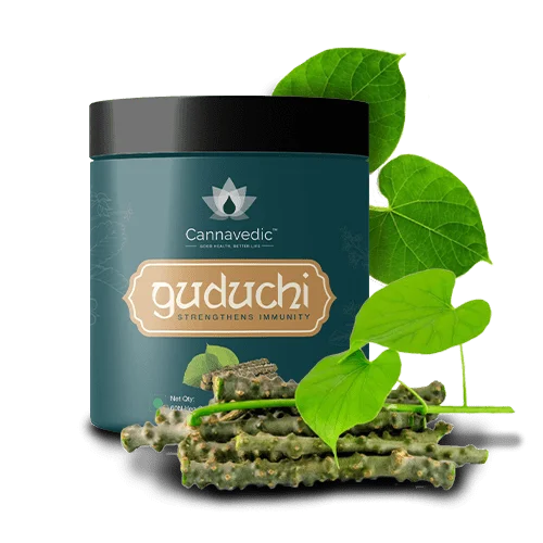 Guduchi Capsules – Immunity booster(60 capsules)