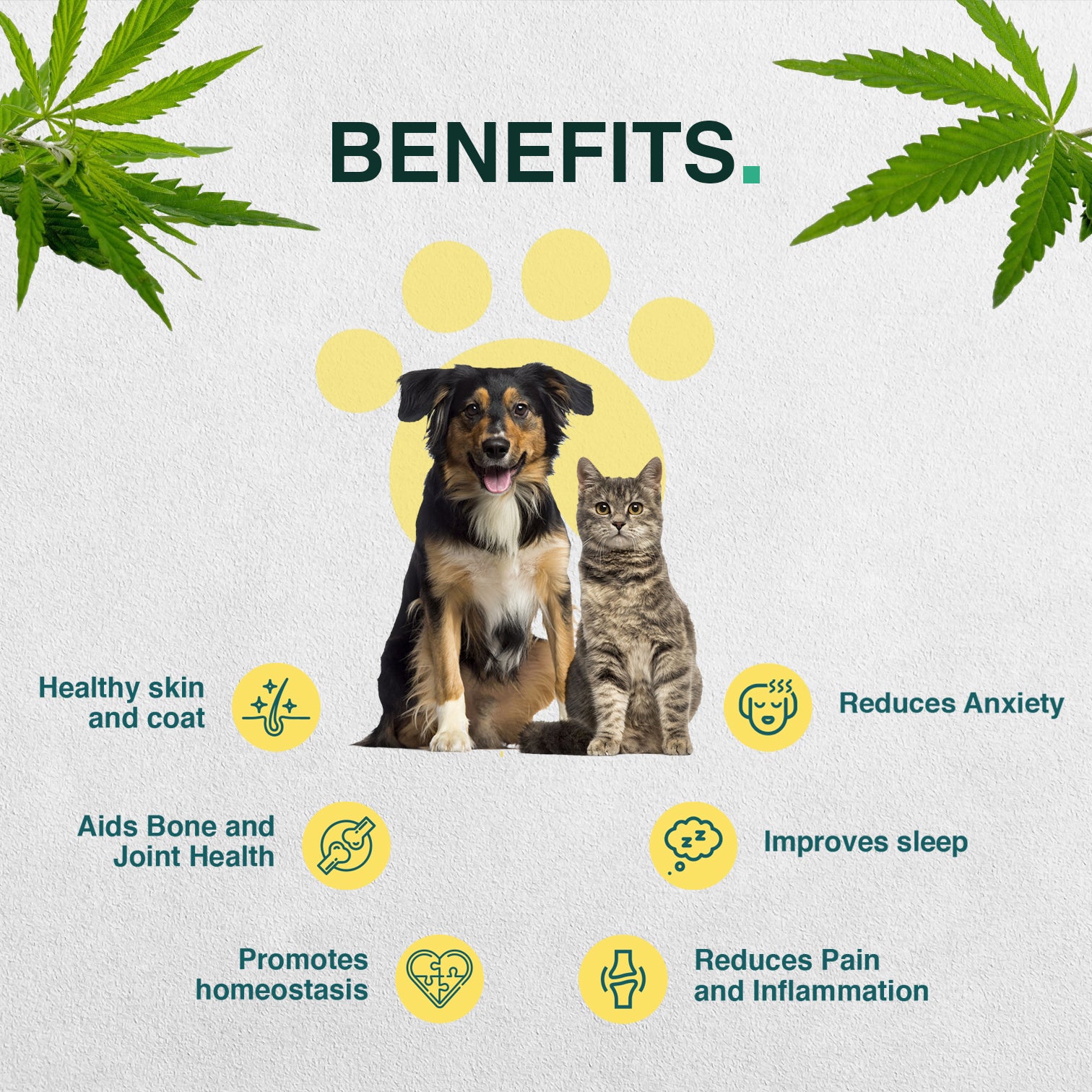 Pet CBD oil – 1500mg | 30ml - 50mg/ml