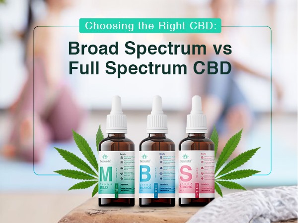 Choosing the Right CBD: Broad Spectrum vs Full Spectrum CBD